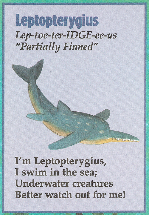 leptopterygius